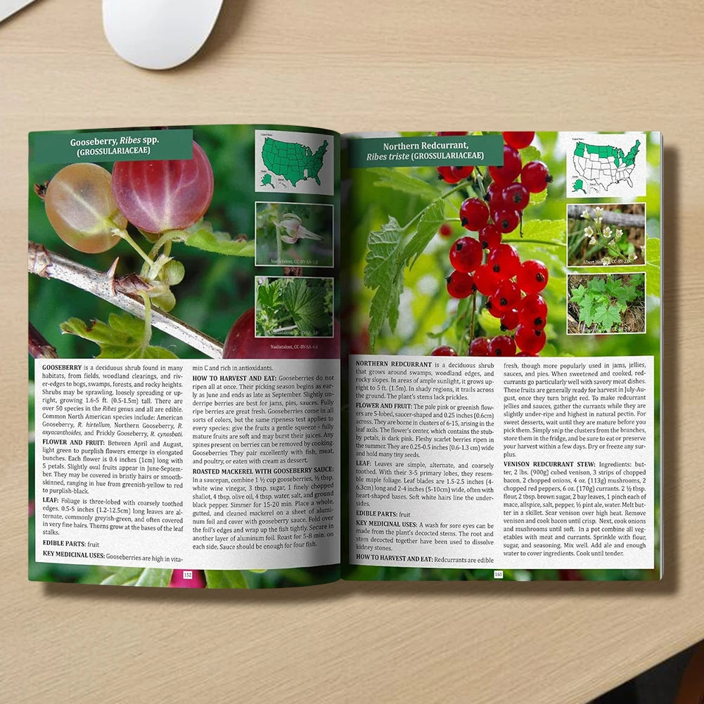 The Forager's Guide to Wild Foods – Identifying Edible Plants (1-4pcs)