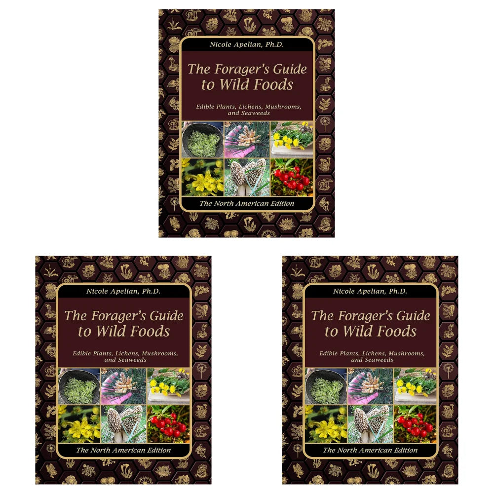 The Forager's Guide to Wild Foods – Identifying Edible Plants (1-4pcs)