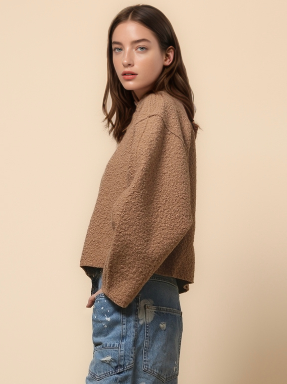 Simple Fleece Half High Collar Loose Top